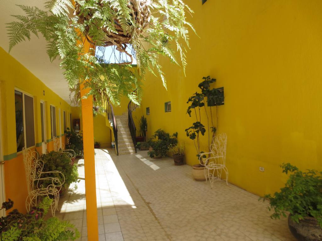 Hotel Maria Esther Matehuala Exterior foto